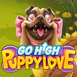 game logo by RubyPlay on priced-up-casino.uk.com